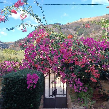 Heraklion Comfy House With Mountain View Exteriör bild